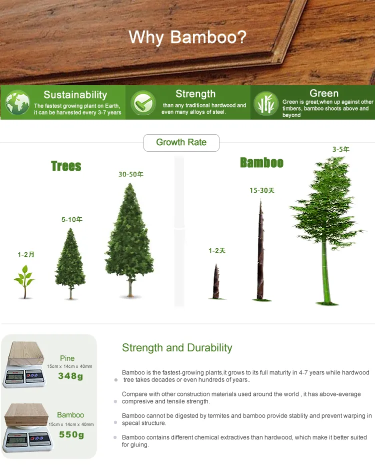 100% Laminated Bambus Flooring Parquet with Best Price