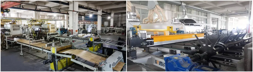 5.5/6mm Thickness Vinyl Plank Waterproof/Fireproof Spc Flooring with Factory Price