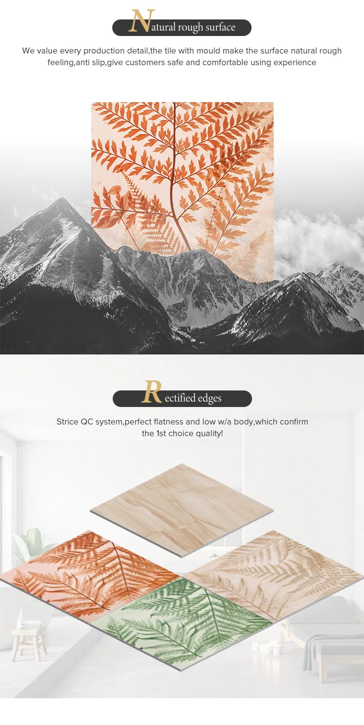 60 *60mm Bathroom Non-Slip Ceramic Floor Tiles From Zibo