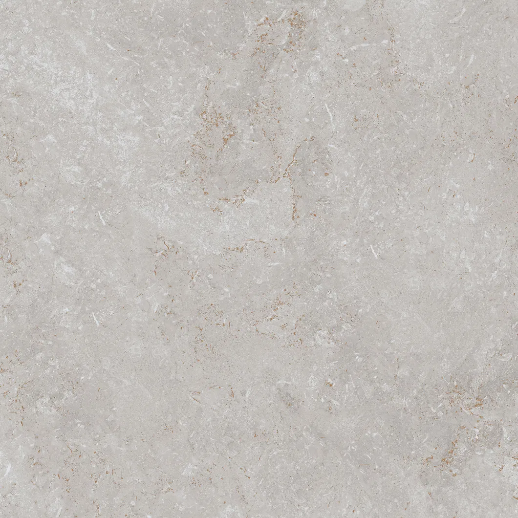 600X600mm Floor Tiles Building Material Rustic Porcelain Tiles (WT6203BM)