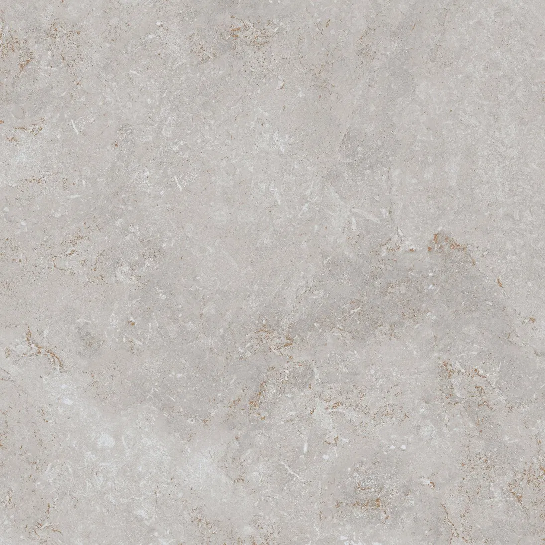 600X600mm Floor Tiles Building Material Rustic Porcelain Tiles (WT6203BM)