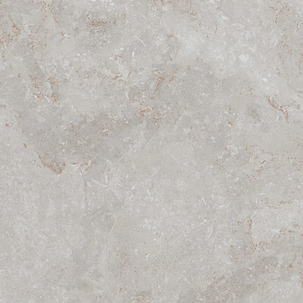 600X600mm Floor Tiles Building Material Rustic Porcelain Tiles (WT6203BM)
