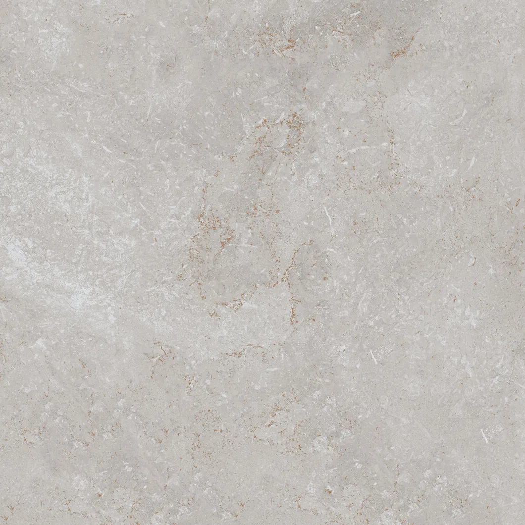 600X600mm Floor Tiles Building Material Rustic Porcelain Tiles (WT6203BM)