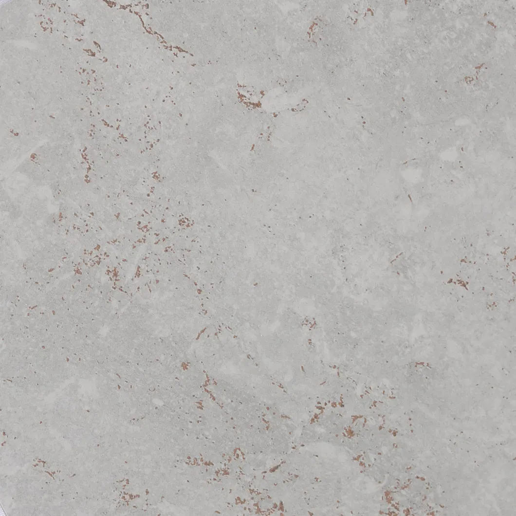 600X600mm Floor Tiles Building Material Rustic Porcelain Tiles (WT6203BM)
