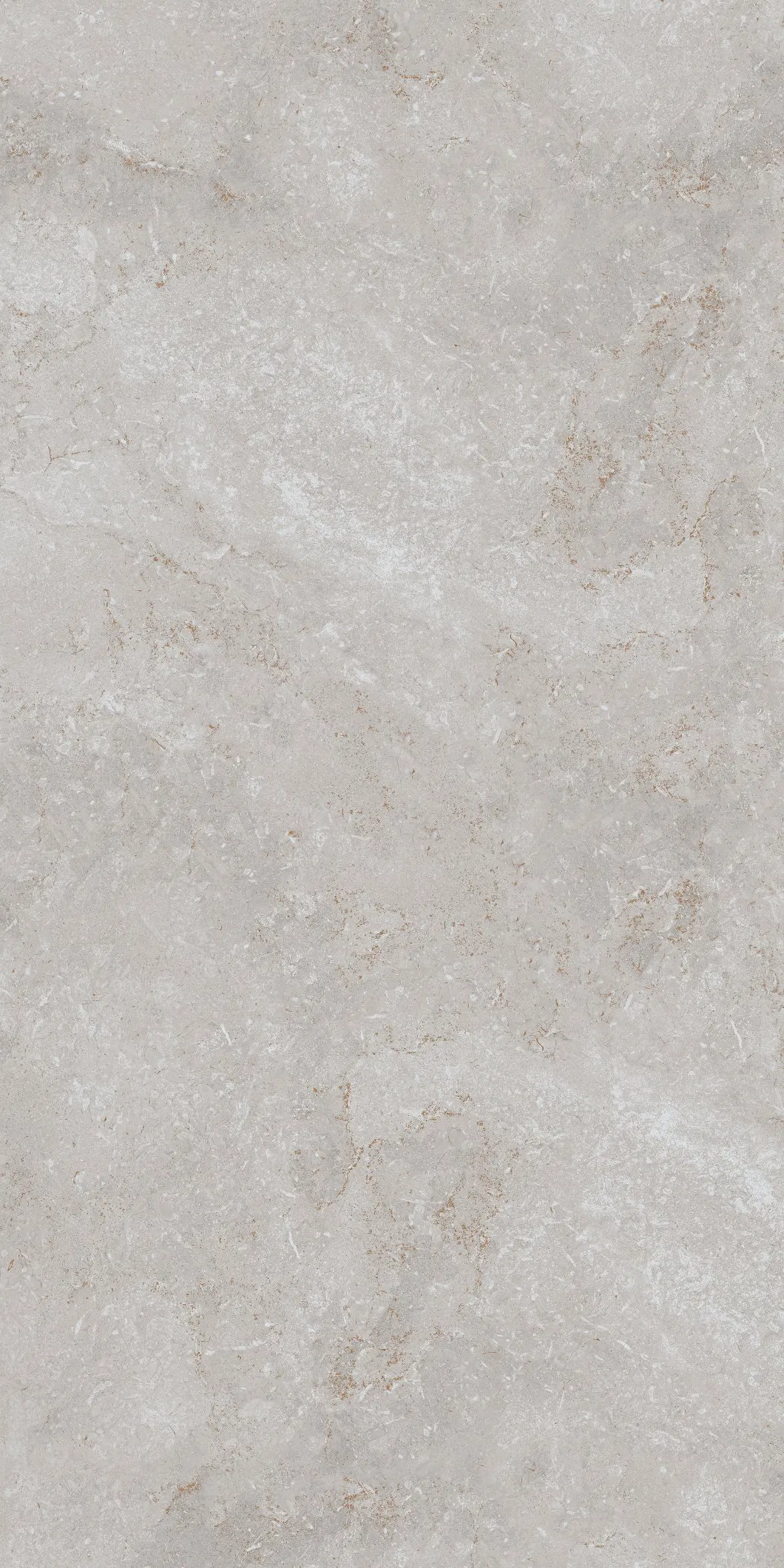 600X600mm Floor Tiles Building Material Rustic Porcelain Tiles (WT6203BM)