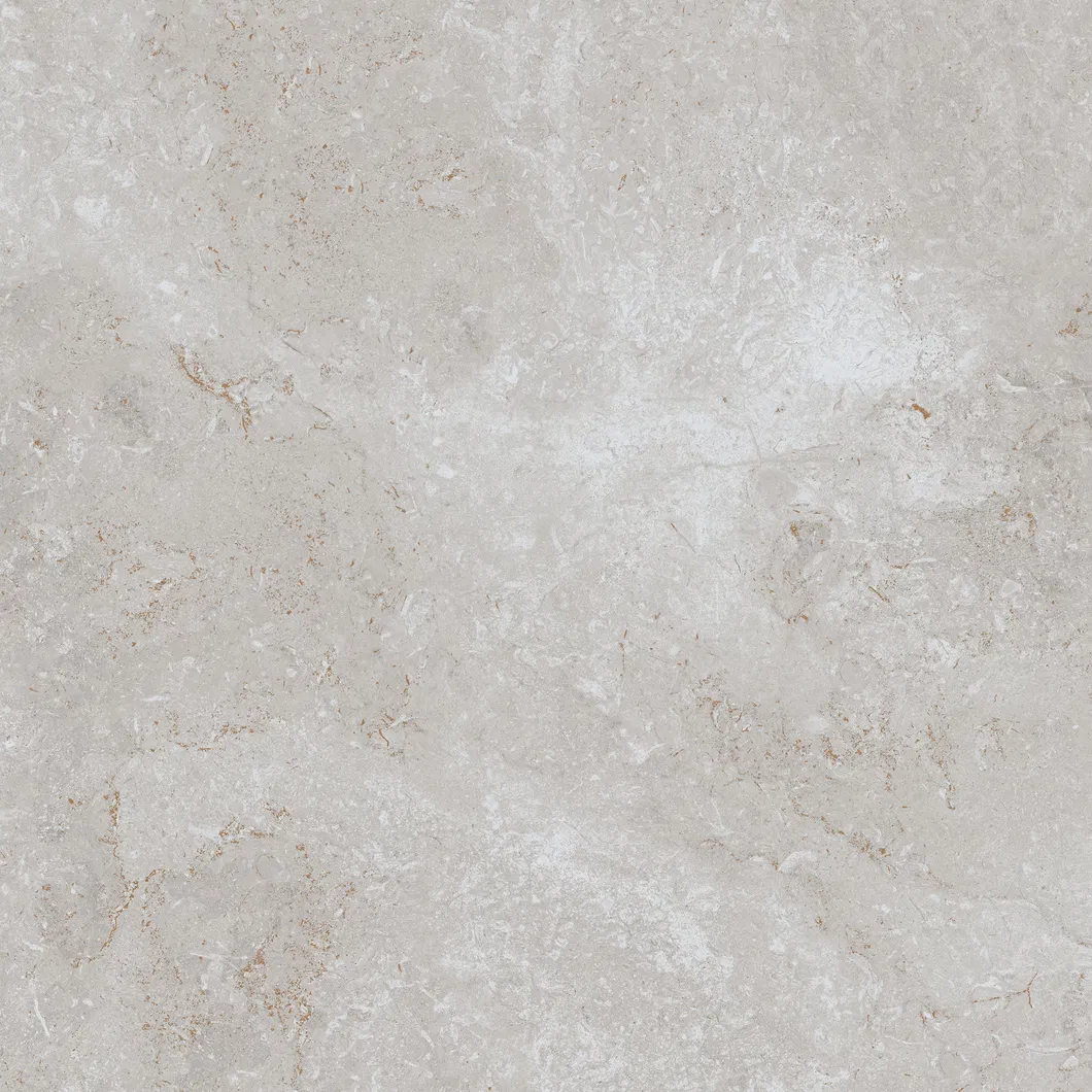 600X600mm Floor Tiles Building Material Rustic Porcelain Tiles (WT6203BM)