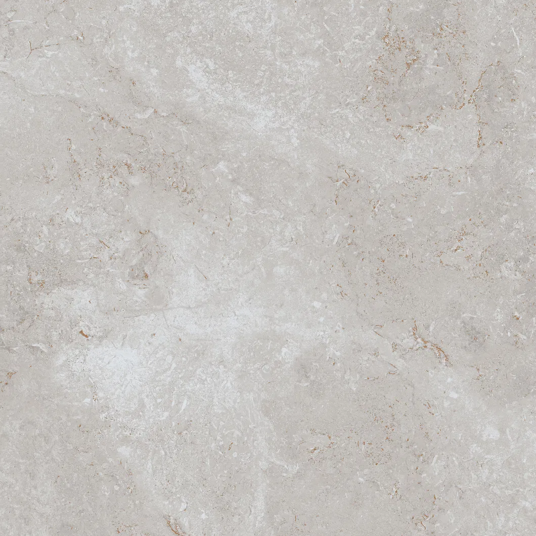 600X600mm Floor Tiles Building Material Rustic Porcelain Tiles (WT6203BM)