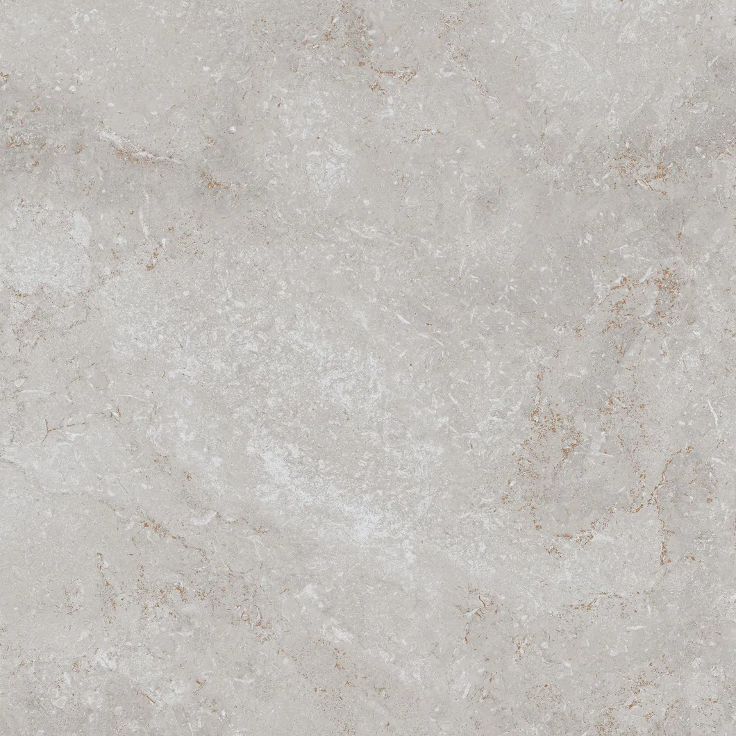600X600mm Floor Tiles Building Material Rustic Porcelain Tiles (WT6203BM)