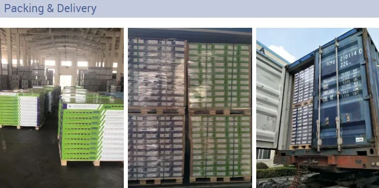 610*305mm Thick Fireproof PVC/Spc Flooring Plank Easylock Carpet Design Spc Floor