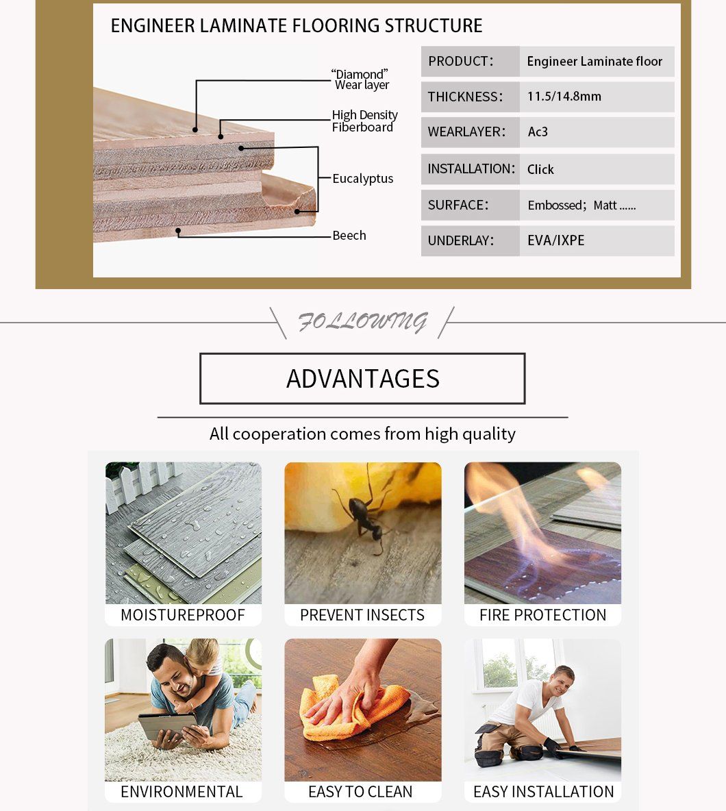 Dryback De Nuacute Cleo Riacutegido Anti-Rayado Lvt/PVC/Lvp/Rvp/Spc Suelo De Tablones De Material De Vinilo