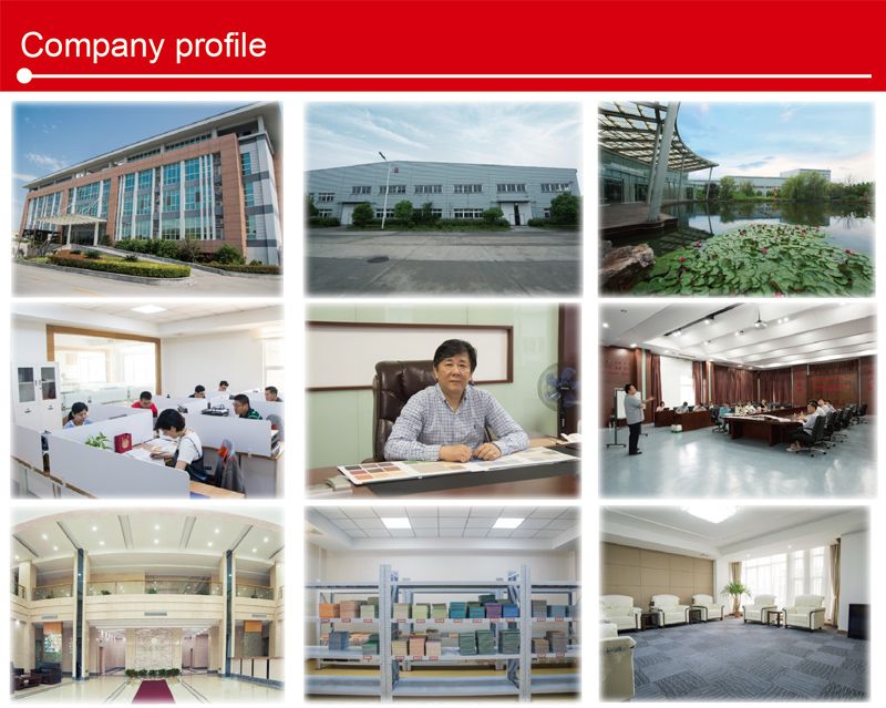 Fire Resistant Safety Flooring for Airport -2.0mm Bxsf20-7201