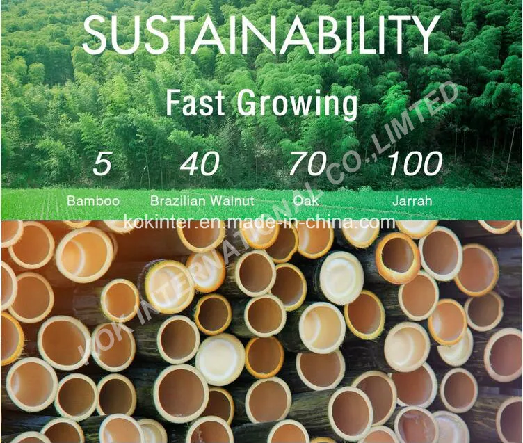 First Quality Household Strand Woven Bamboo Flooring Indoor Use in Purple Orchid Color and Cheap Price