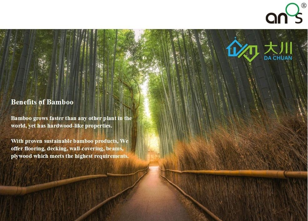 Freeze Resistant Outdoor Bamboo Wood Like Laminated Floors