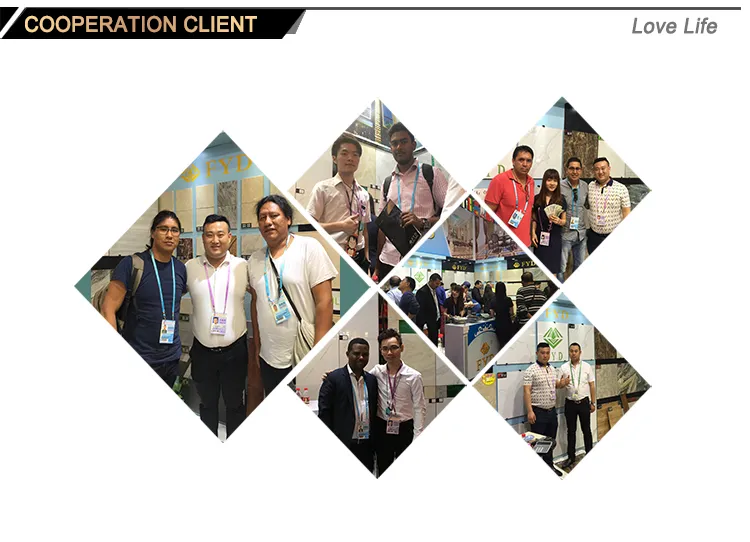 High Quality Soluble Salt Tile Polished Tile Fs6002