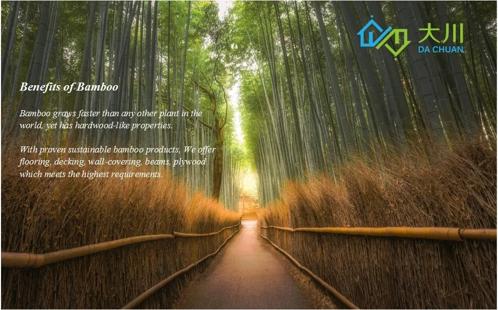 Hot Sales Corrosion Resistance Building Material Outdoor Strand Woven Bamboo Decking/Floor /Flooring