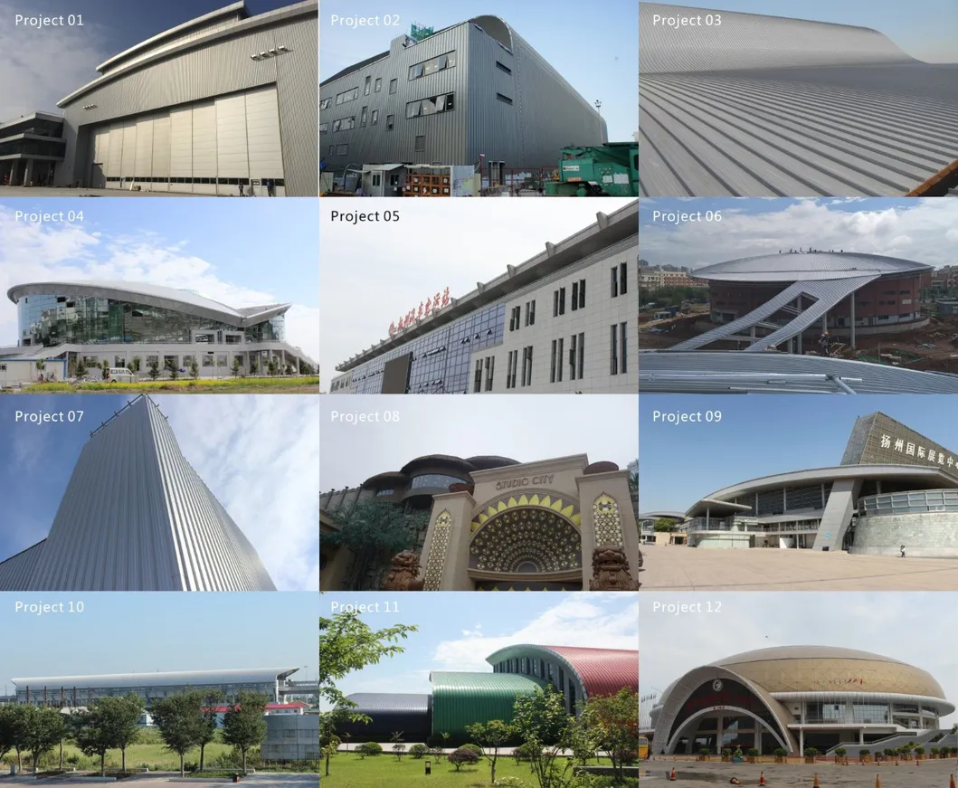 Metal Trizip Aluminum Alloy Standing Seam Roofing, Facade, Cladding System Gw023