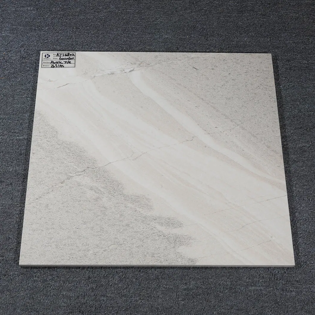 New CE Approved Matte Surface China Floor Kitchen Tile 66A142
