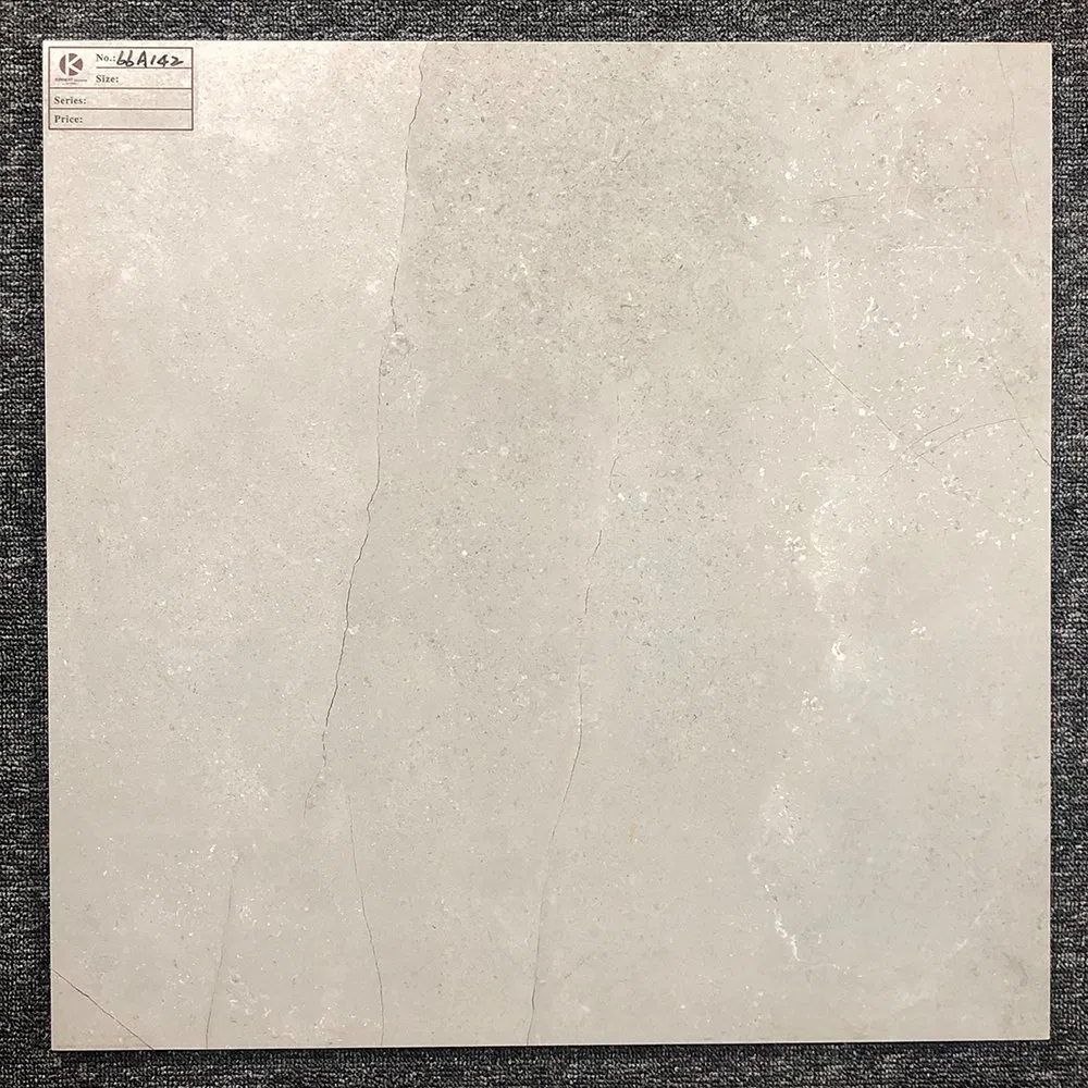 New CE Approved Matte Surface China Floor Kitchen Tile 66A142