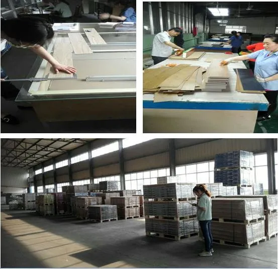 Non Slip High Quality Indoor New Design Dryback Eco-Friendly 100% Vinyl Rigid Core PVC Flooring