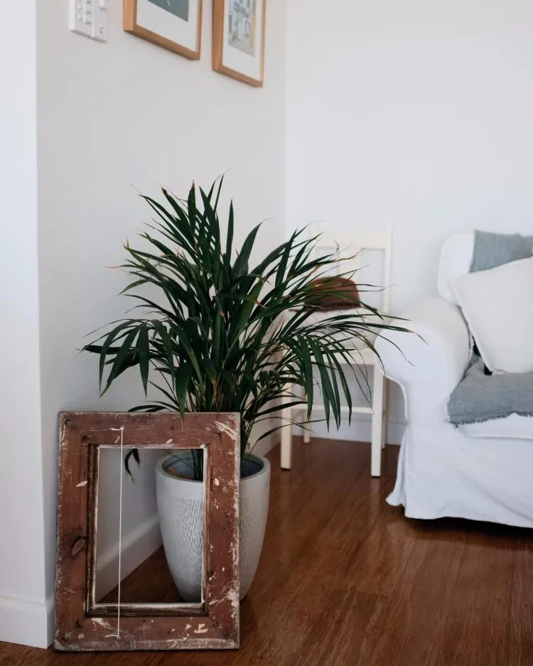 Protex Spc Suppliers Anti-Slip and Wear Resistant Interlocking Flooring